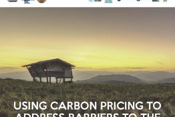 Carbon pricing and the way forward