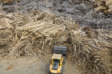 Newsletter 12/2011: After biofuels, solid biomass flourishes